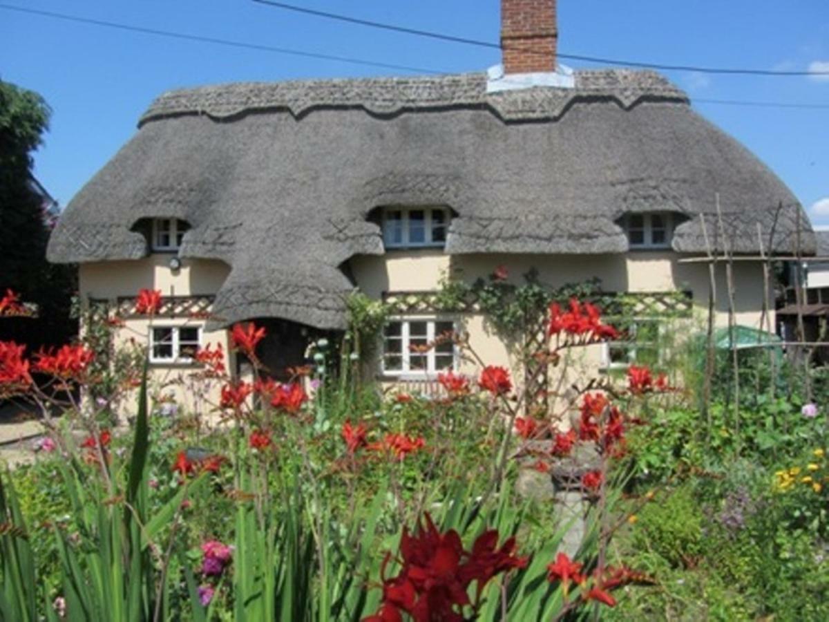 The Stable Villa Eastleigh Buitenkant foto