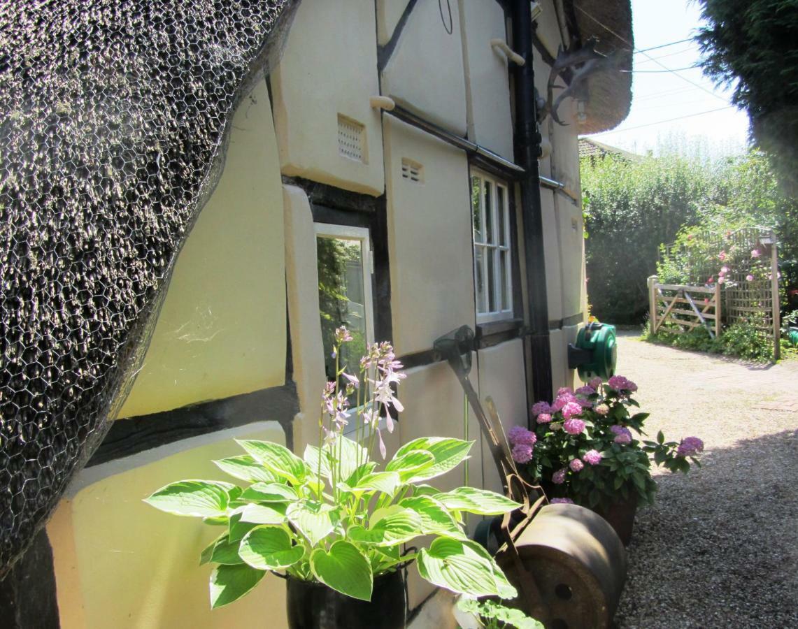 The Stable Villa Eastleigh Buitenkant foto